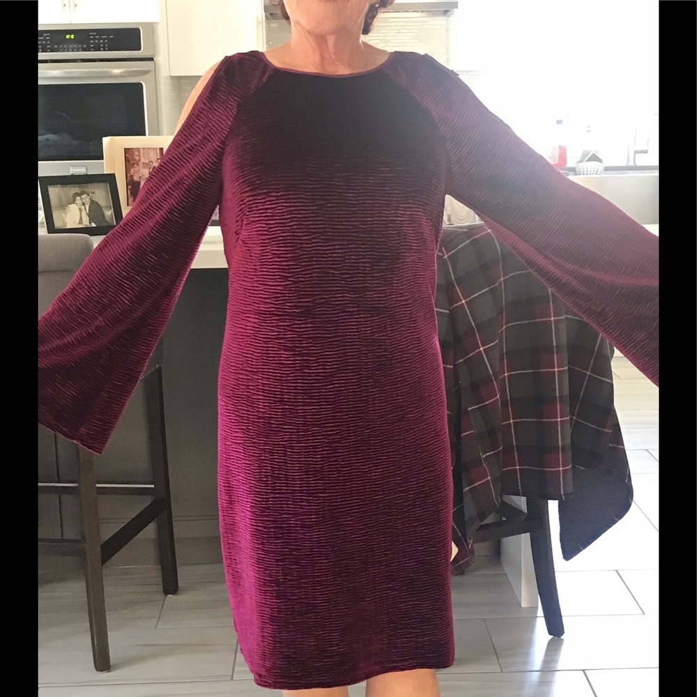 NWT Velvet dress